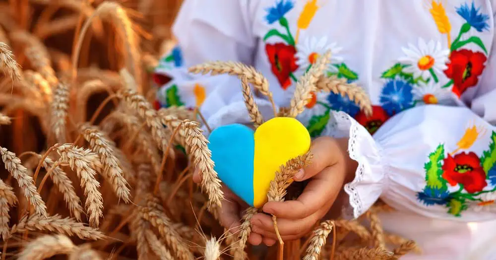 Ukraine-response